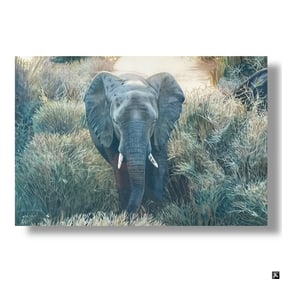 Dylan Scott Pierce, Color Lithograph "Her Majesty"