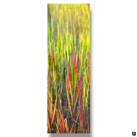 Peter Lik Acrylic Mounted Photograph "Passion"