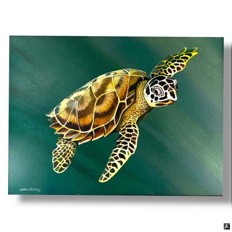 John Ketley Giclee "Sea Turtle" Signed & Numbered (1 of 5)
