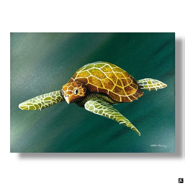 John Ketley Giclee "Sea Turtle" Signed & Numbered (1 of 5)