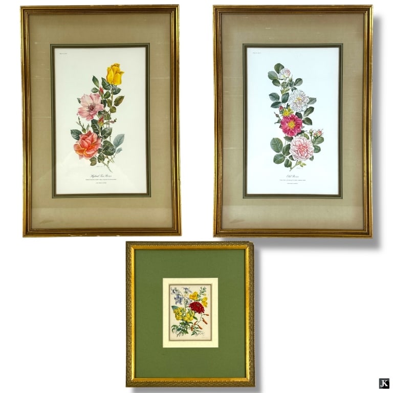 3 Framed Decorative Color Botanical Prints (1 of 6)