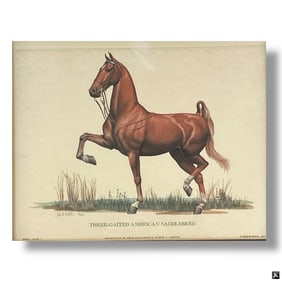 Robert Christie Color Lithograph