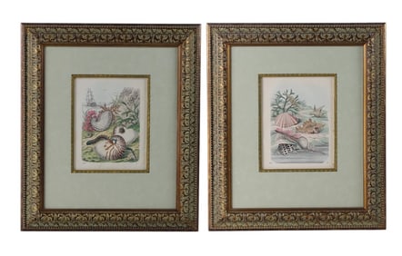 Pair Friedrich Bertuch Framed Color Engravings
