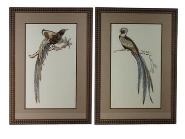 Pair Framed Color Prints "Elongated Exotic Birds"