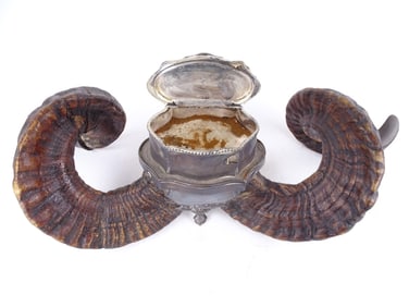 Vintage Victorian Scottish Rams Horn Snuff Mull