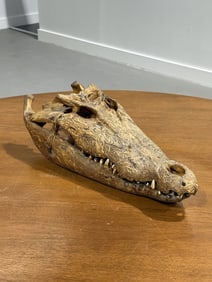 Antique Taxidermy Skull