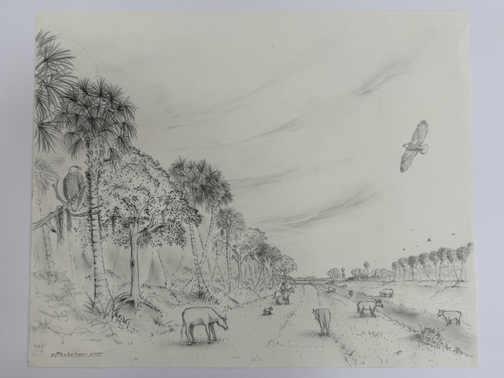 Artist Unknown Drawing/Paper "Forest Trail" (1 of 4)