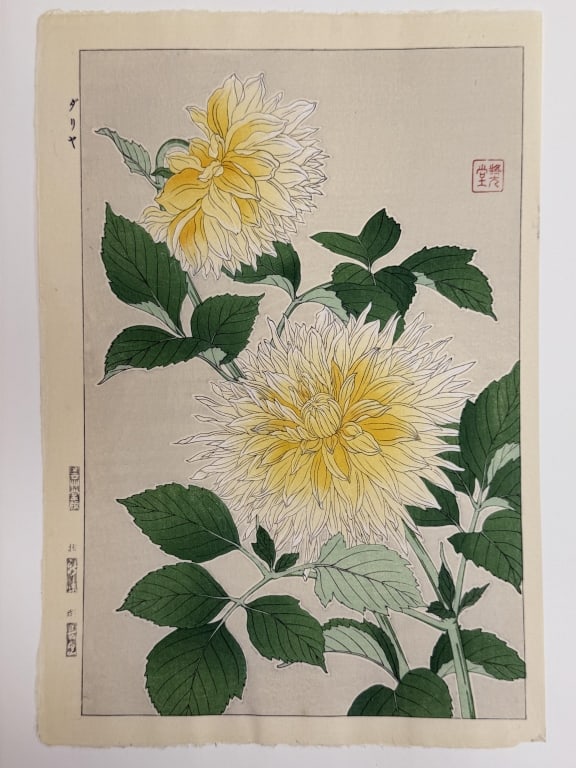 Shodo Kawarazaki (1899-1973) Wooblock Print: Shodo Kawarazaki, Japanese (1899-1973) woodblock print "Dahlia". Seal upper right, stamped along left side. Inside paper folder with title and artist name written lower right. Minor wear along the edg