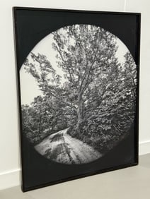 Scott Mead American Photography