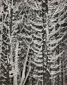 Ansel Adams (1902-1984) Photo Engraving