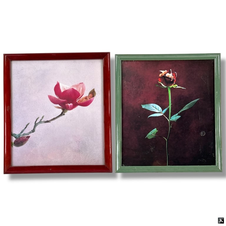 after: Anne Geddes - 2 Photo Prints- Baby Flowers (1 of 5)