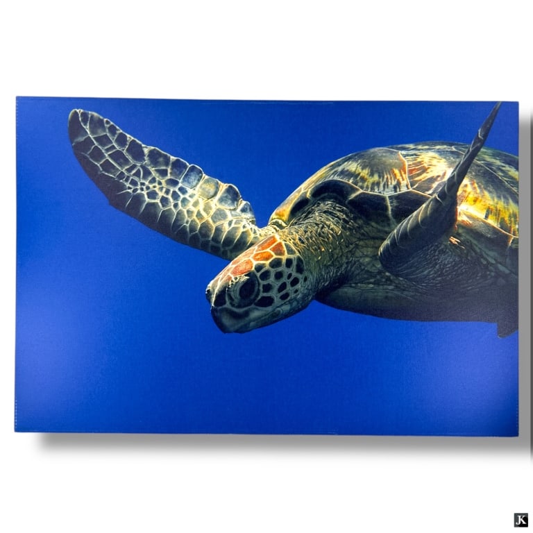 Large Decorative Canvas Poster "Sea Turtle" (1 of 3)