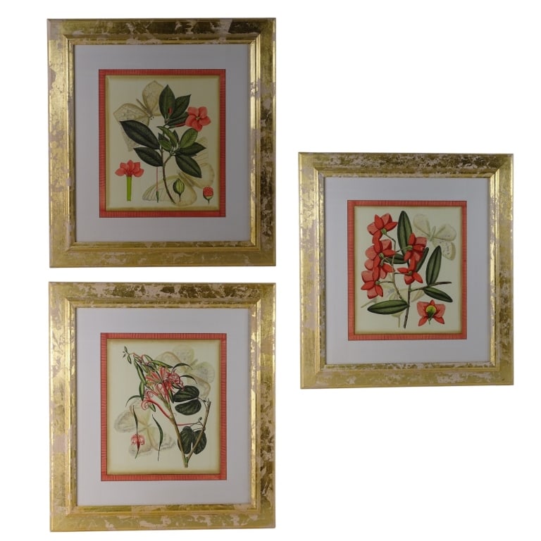Lot Framed Botanical Color Prints: Set of 3 botanical color prints in matching frames. Well framed and in good condition. Measure(sight) 17 1/2" x 14 3/4" Frames measure 32 1/4" x 29 3/4" Keywords: botanical illustration, floral art, v