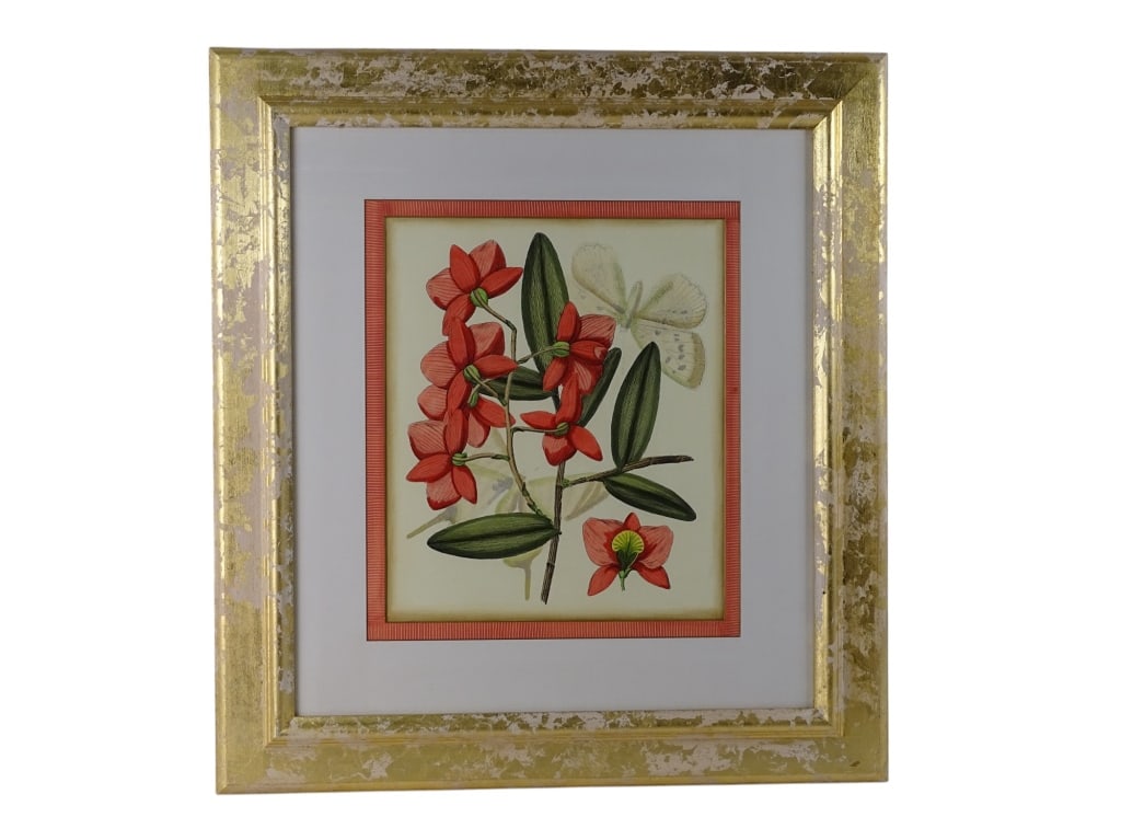 Lot Framed Botanical Color Prints - 2