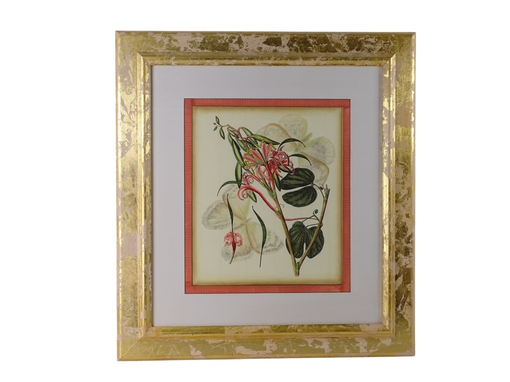 Lot Framed Botanical Color Prints - 3