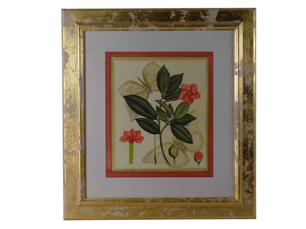 Lot Framed Botanical Color Prints - 4