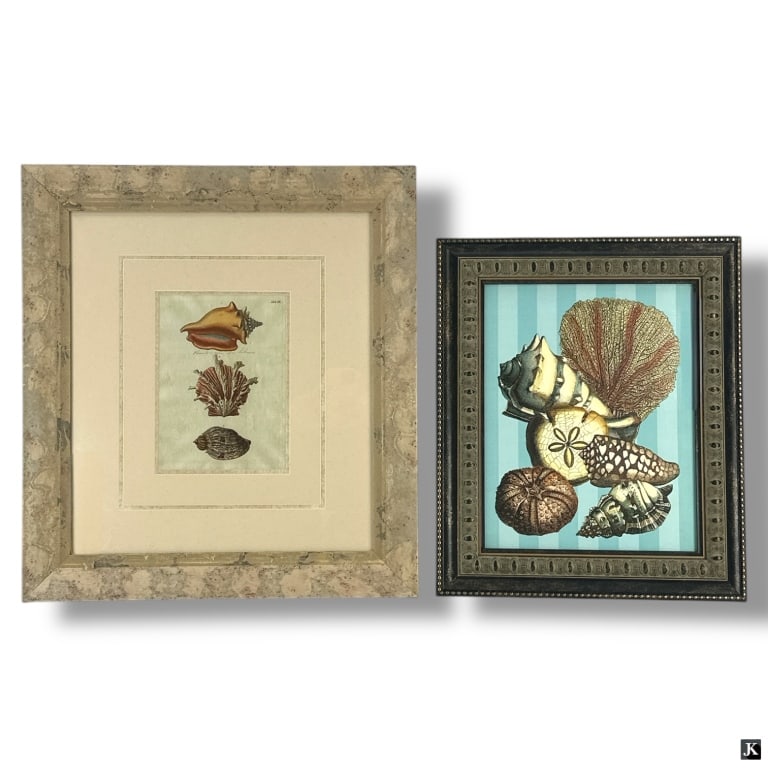 2 Decorative Framed Shell Prints: 2 Decorative Framed Shell Prints. Unsigned. Good condition. Measures 22" x 20", 18-1/2" x 15-1/2". LA/B13/SH:4B