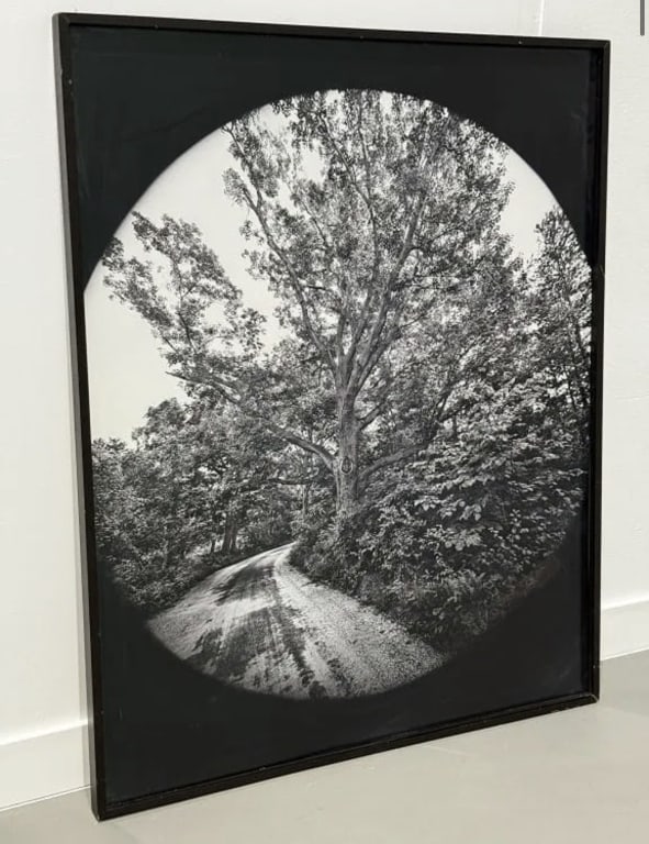 Scott Mead American Photography: Scott Mead American Photography. Gallery Label to back. Total Framed Measures 61 1/2 inches high x 49 1/2 inches wide. "Looking Back" 1975. Digital C Print made Feb 2015. Edition 3 of 5 + AP Scott