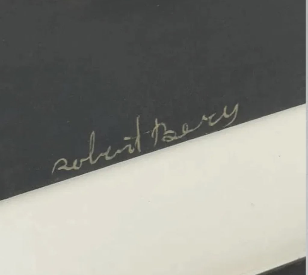 Large Robert Bery Silver - 4