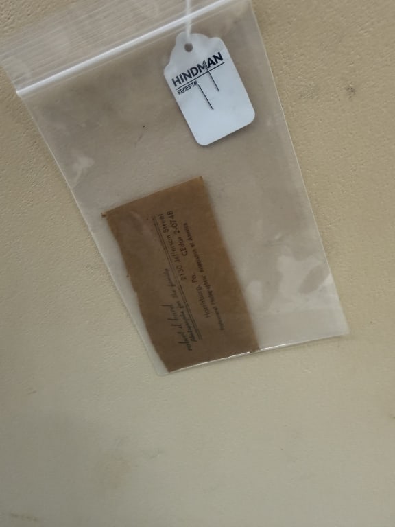 Max Pechstein (1881-1955) Etching - 5