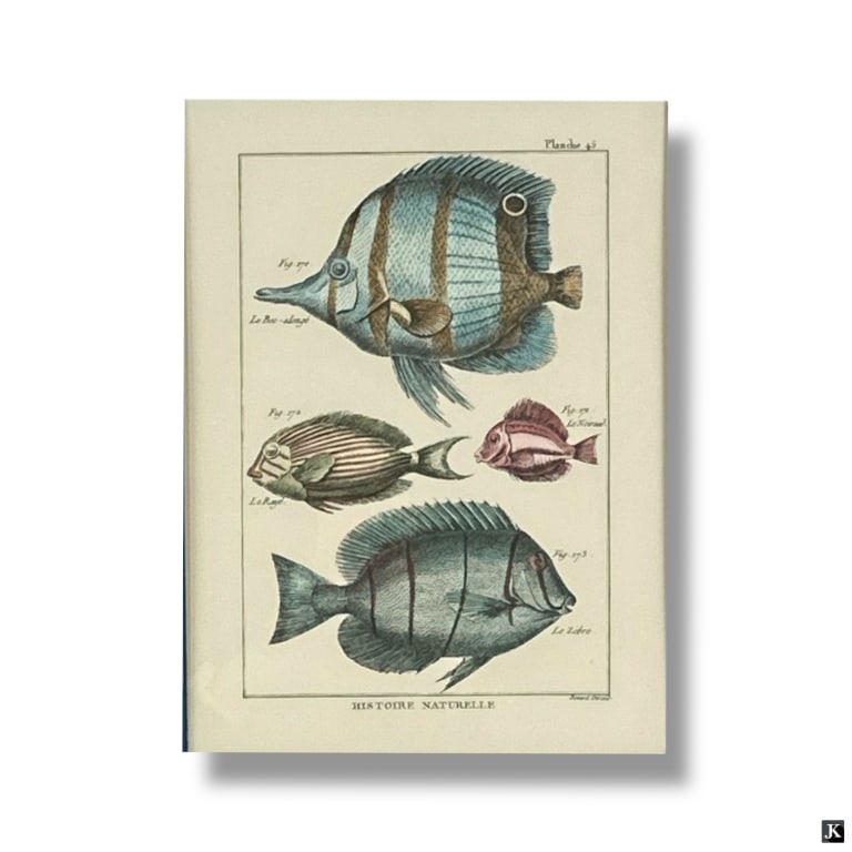 John Richard Decorative Framed Color Print: John Richard Decorative Framed Color Print "Tropical Fish" Label affixed verso. Some minor wear to frame, in good condition overall. Nicely framed and presented under glass. Measures 29" x 22-1/2" ove