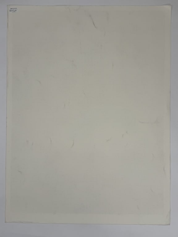 Artist Unknown Signed Screenprint - 4