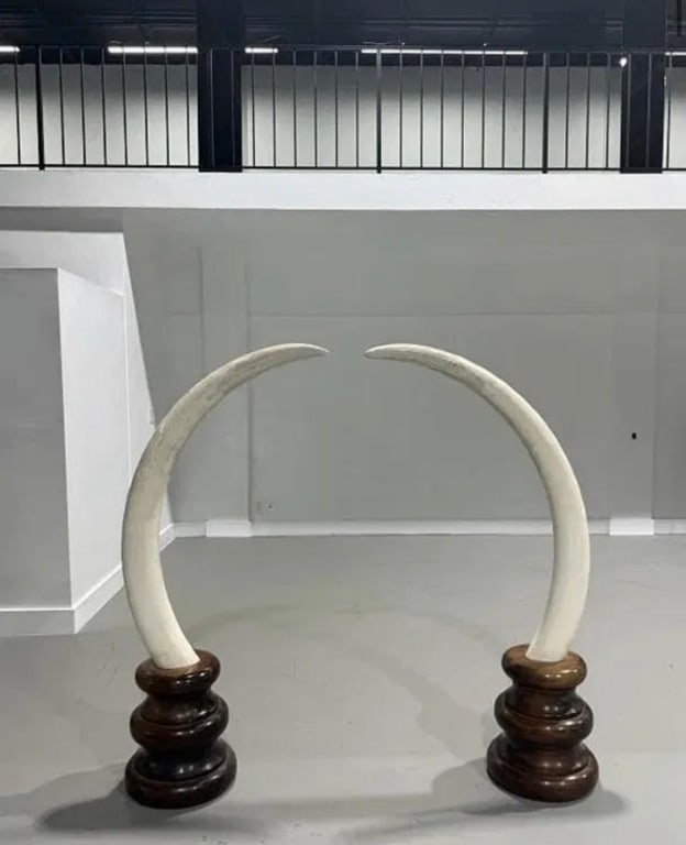Pair of Chinese Carved Tusk: Pair of Chinese Carved Tusk. Wooden Bases. 64 inches high x 13 inches diameter.