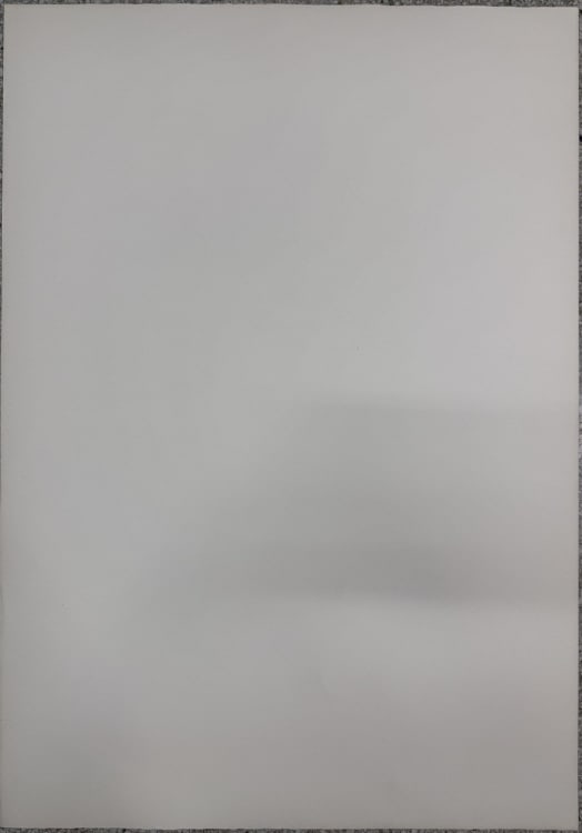Helene Guetary (b. 1957) Signed Lithograph - 3