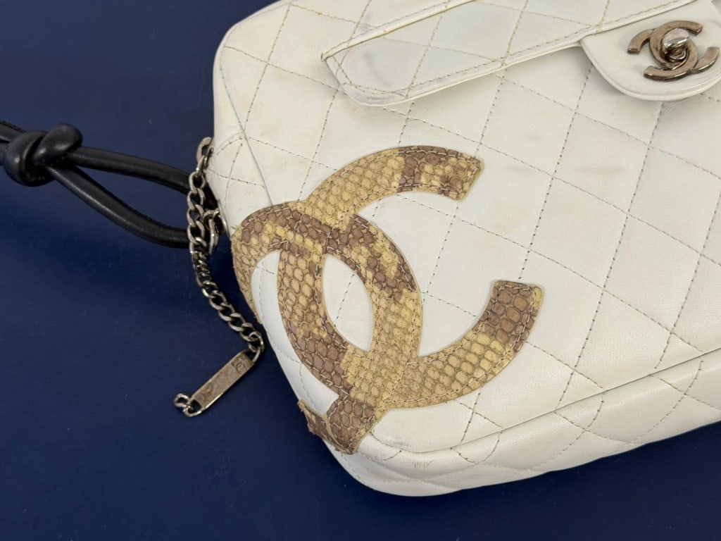 Chanel Python Trim Cambon Camera Bag - 2