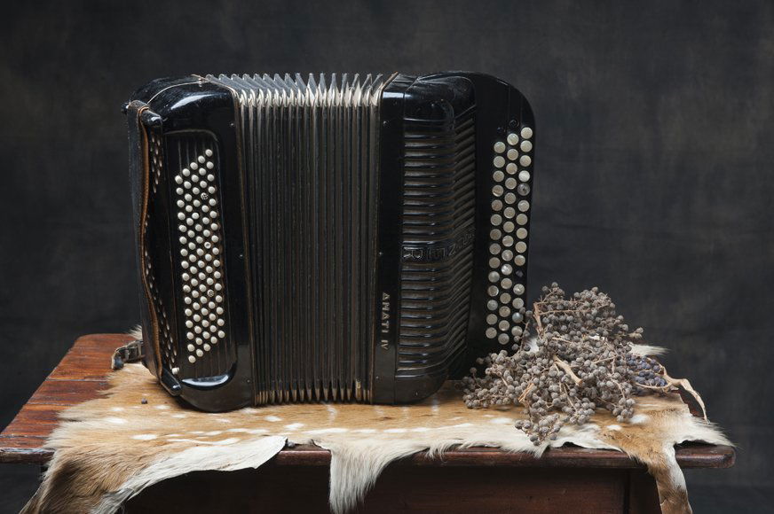 Hohner accordion (1 of 4)