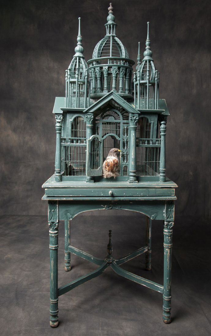 Antique bird cage (1 of 3)
