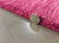 DECORATIVE MODERN DESIGN WOOL RUG 5 x 7.6 - 5