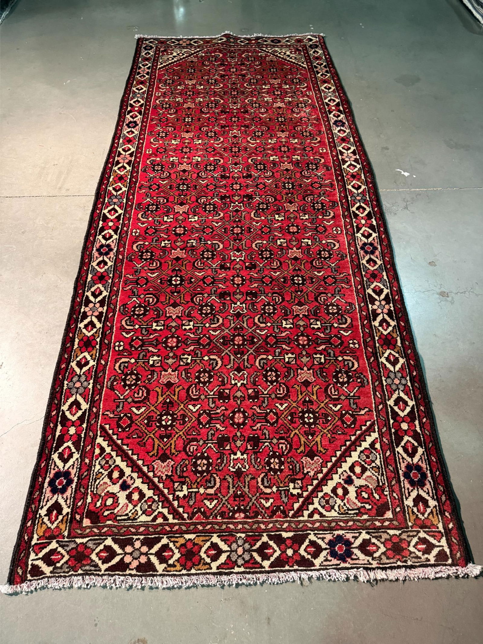 Stunning Persian Hamedan Rug 3.10x9.5 (1 of 8)