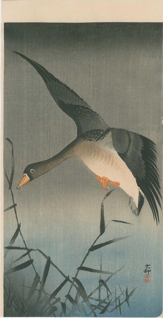 Koson - White-fronted Goose above Reeds Woodblock: Japanese woodblock print NOTES/DATE/ETC: c1910-23 -- Daikoku-ya Publisher (pre-1923 Earthquake) SIZE IN INCHES: 7 3/8 x 13 5/8 inches (original margins) COMMENTS: Rare -- Robert O Muller Estate OHARA 