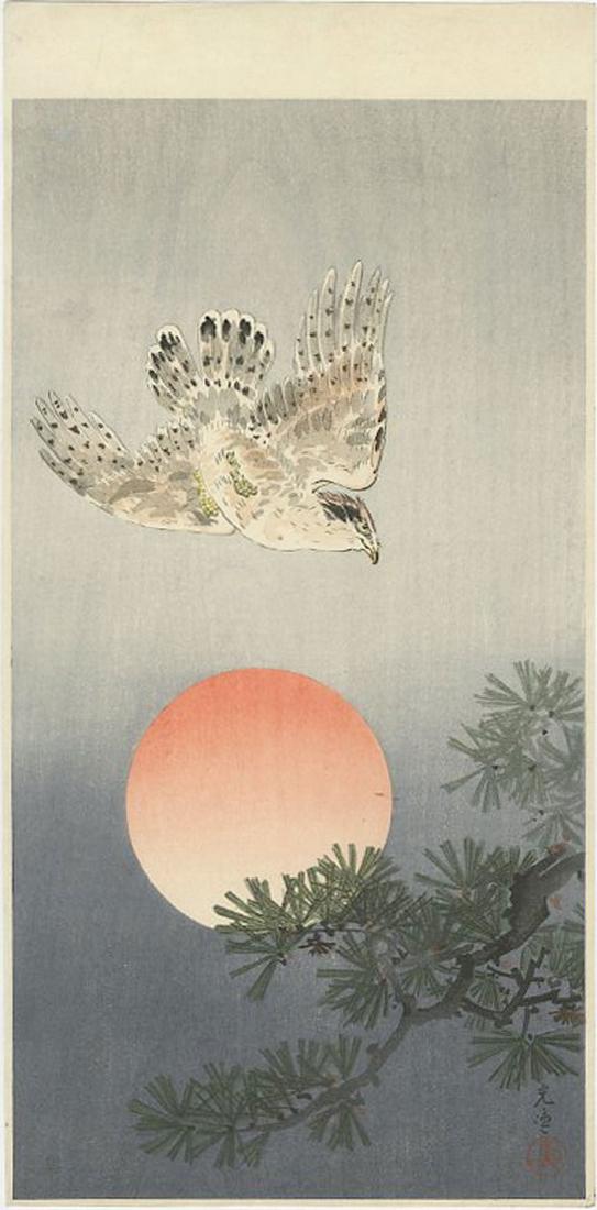 Koitsu Tsuchiya - Hawk and Setting Sun Woodblock: Japanese Woodblock Print, 1930-40's -- Doi Publisher (purchased 1947 by Air Force serviceman) SIZE IN INCHES: 7 3/8 x 13 3/4 inches (+ margins) COMMENTS:Excellent colors, visible woodgrain. Early post