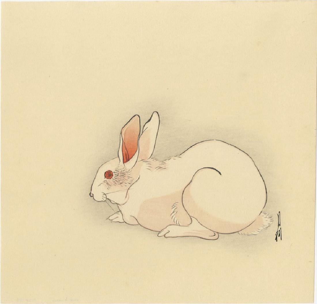 Ogata Gekko - White Rabbit woodblock (Muller Estate): Japanese Woodblock Print, c.1910/23 -- believed Daikoku-ya Publisher SIZE IN INCHES: 9 5/8 x 10 (margins as published) COMMENTS: Robert O. Muller Estate source. Skillfully executed "bokashi" shading, 