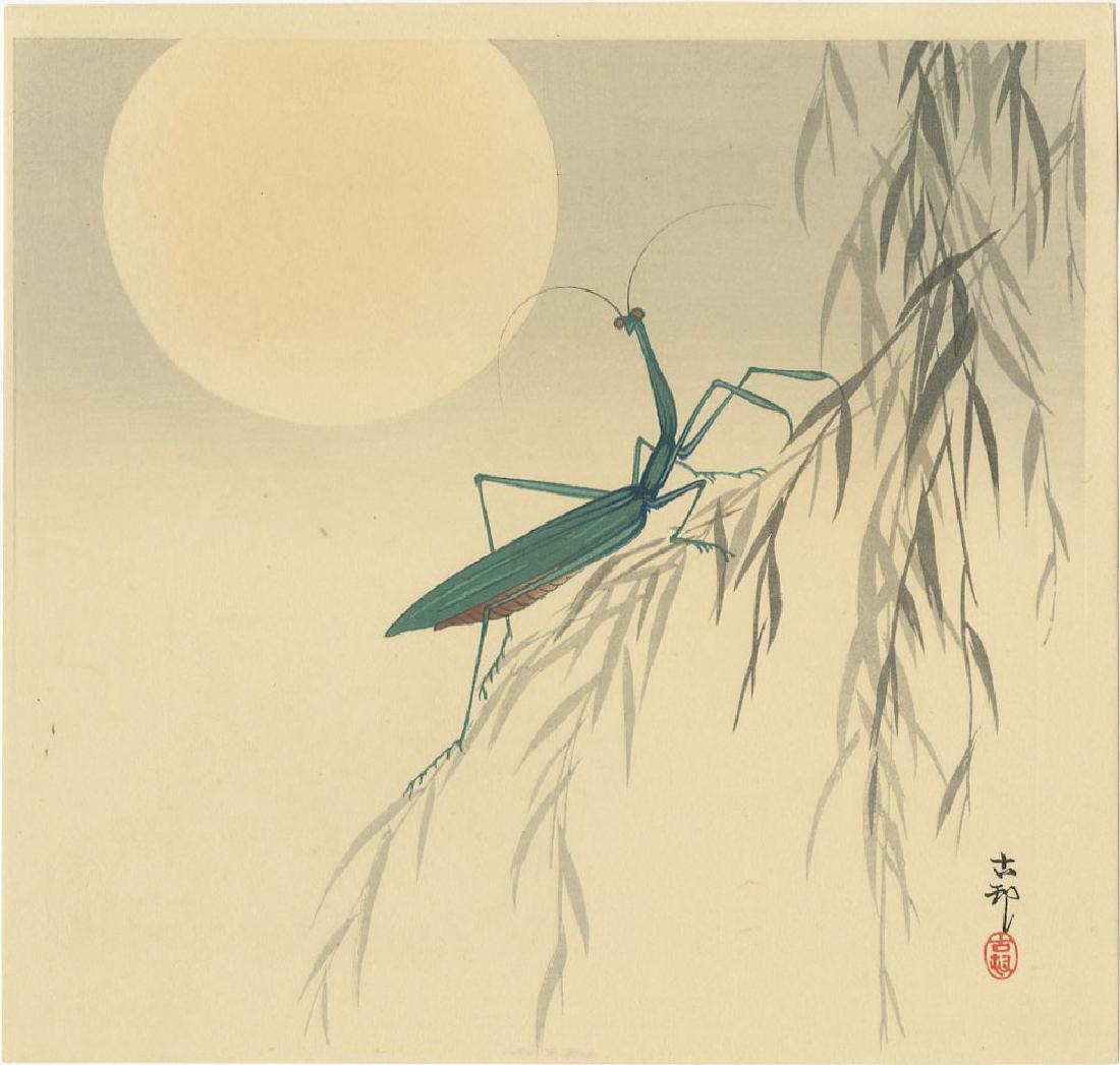 Ohara Koson - Praying Mantis Full Moon woodblock: Japanese Woodblock Print, c.1910/23 -- believed Daikoku-ya SIZE IN INCHES: 9 1/4 x 9 3/4 (+ margins) COMMENTS: Robert O. Muller Estate source. Skillfully executed "bokashi" shading, highly detailed. R