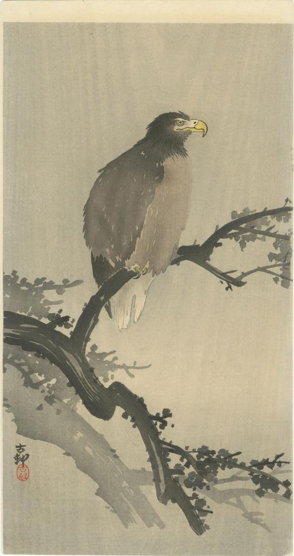 Ohara Koson - Eagle on Branch Pre-EQ 1910-23 woodblock (1 of 2)