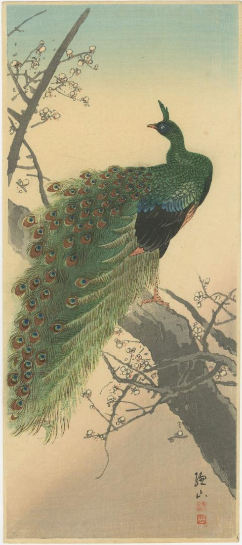 Ito Sozan - Peacock in Plum Tree 1919-26 woodblock RARE (1 of 2)
