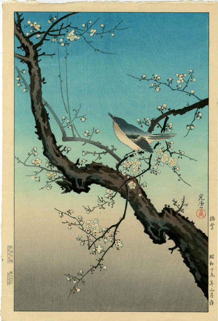 Koitsu Tsuchiya: Plum Warbler 1940 Woodblock: Japanese Woodblock Print, 1940, this later edition with Harada/Yokoi printer/carver seal, publisher's in the lower left margin, published by Doi Hangaten SIZE IN INCHES: 10.75 x 16 TSUCHIYA KOITSU (18