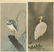 Koson Ohara: Lapwing and Egret c.1920s - 2 Woodblocks
