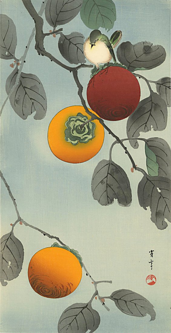 Watanabe Seitei: Bird in Persimmon Tree 1930s Woodblock: Japanese Woodblock Print, c.1930, published by the Shima Art Company, signed and sealed Seitei Watanabe SIZE IN INCHES: 7.75 x 15 PROVENANCE: from the estate of Robert O. Muller SEITEI WATANABE (1851-