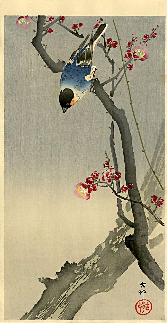 Koson Ohara: Blue Bird on a Plum 1920s Woodblock: Japanese Woodblock Print, c.1920s, published by Daikokuya, signed and sealed Koson SIZE IN INCHES: ohosoban, 14.5 x 7.5 inches PROVENACE: from the estate of Robert O. Muller OHARA KOSON (1877-1945), w