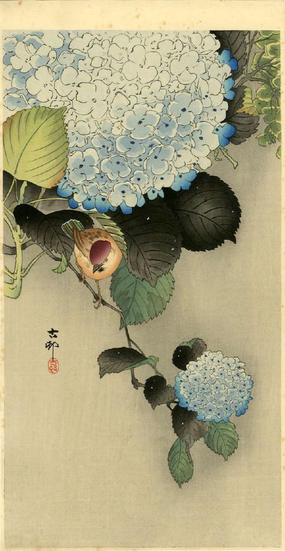 Koson Ohara: Sparrow and Hydrangea 1920s Woodblock: Japanese Woodblock Print, c.1920s, published by Daikokuya, signed and sealed Koson SIZE IN INCHES: ohosoban, 14.5 x 7.5 inches PROVENACE: from the estate of Robert O. Muller OHARA KOSON (1877-1945), w