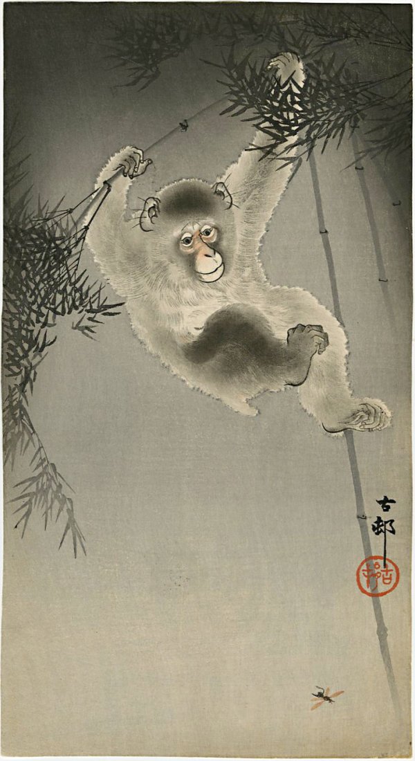 Koson Ohara: Monkey and Bee 1910s Woodblock: Japanese Woodblock Print, 1910s published by Daikokuya SIZE IN INCHES: chuban, 7.5 x 13.6 inches OHARA KOSON (1877-1945), who also went by the art names of Shoson and Hoson, began his career as the st