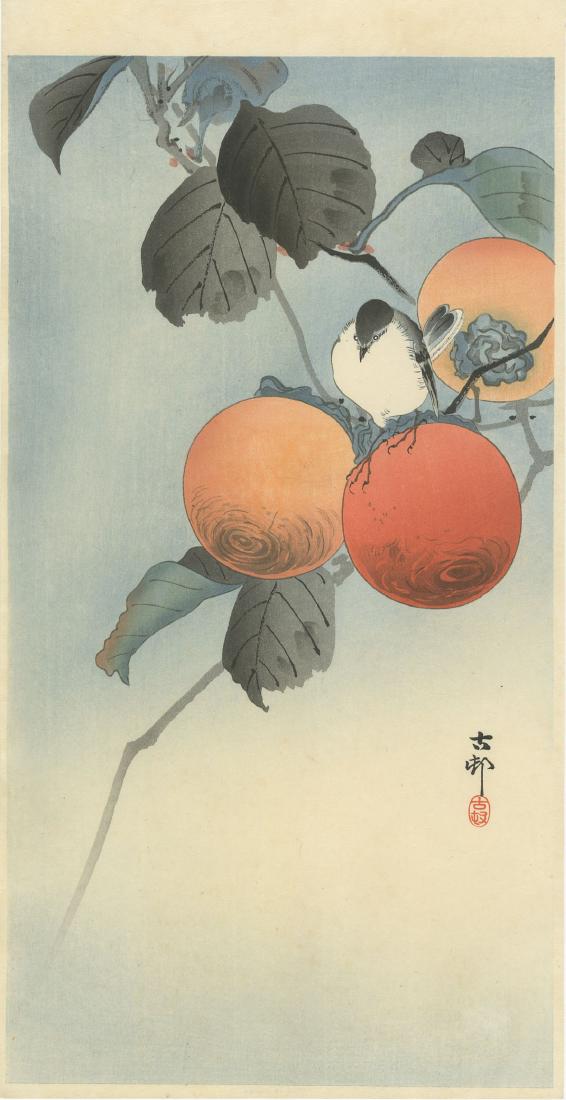 Ohara Koson - Nuthatcher and Persimmon woodblock Muller: Japanese Woodblock Print, c1920 -- Daikokuya Publisher, original print. SIZE IN INCHES: 7 1/8 x 13 1/2 COMMENTS: Skillful bokashi shading. Robert O. Muller Estate.