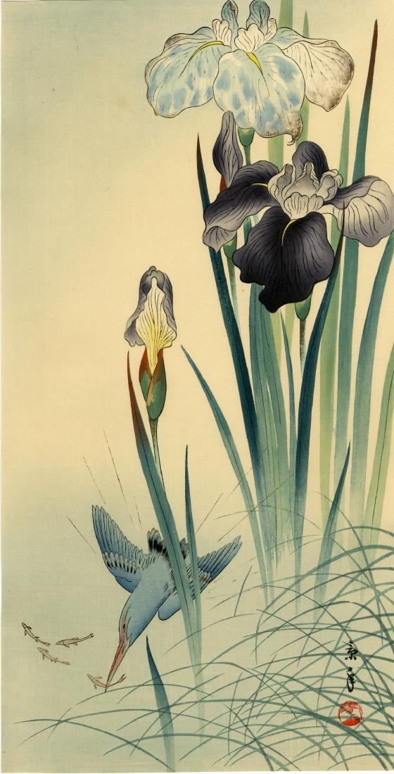 Imao Keinen: Kingfisher and Irises 1930s Woodblock: Japanese Woodblock Print, c.1930, published by the Shima Art Company, signed and sealed Keinen SIZE IN INCHES: ohosoban, 7.75 x 15.75 PROVENANCE: from the estate of Robert O. Muller IMAO KEINEN (1845-