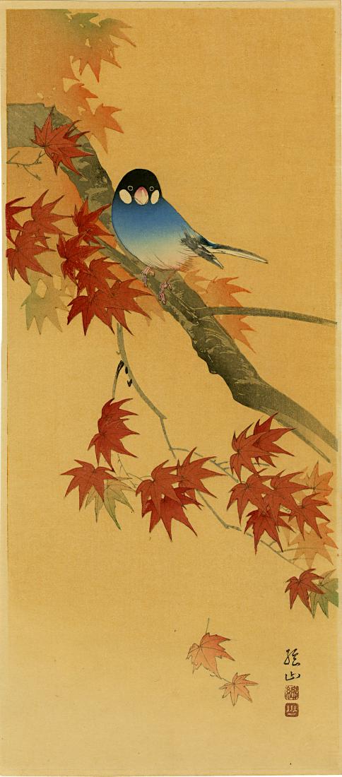 Sozan Ito: Finch on a Maple Branch 1925 Woodblock: Japanese Woodblock print, c.1925, published by Shozaburo Watanabe SIZE IN INCHES: 6.7 x 15 inches PROVENANCE: from the estate of Robert O. Muller ITO SOZAN designed prints known for the Tokyo publishe