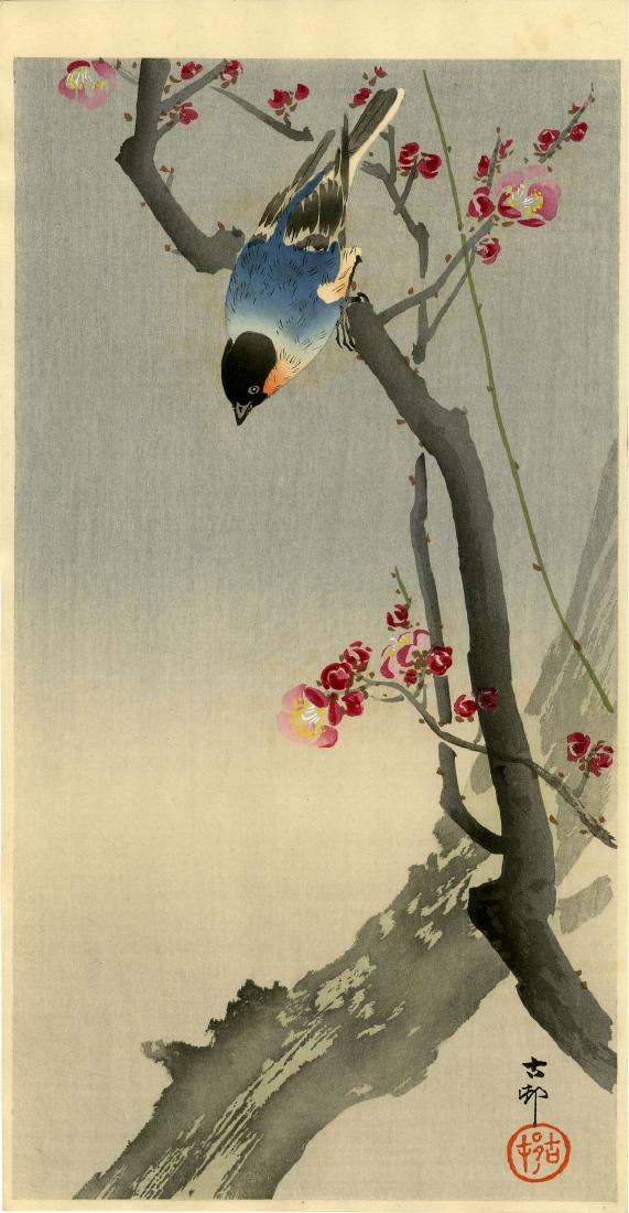 Koson Ohara: Blue Bird on a Plum 1920s Woodblock: Japanese Woodblock Print, c.1920s, published by Daikokuya, signed and sealed Koson SIZE IN INCHES: ohosoban, 14.5 x 7.5 inches PROVENACE: from the estate of Robert O. Muller OHARA KOSON (1877-1945), w