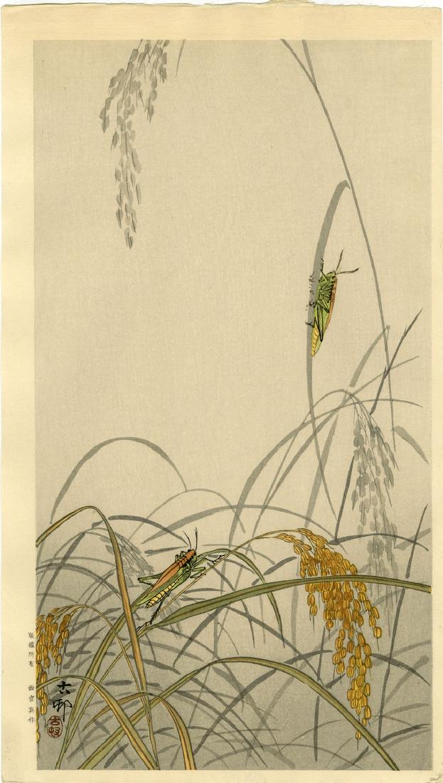 Koson Ohara: Grasshoppers on Wheat 1920s Woodblock: Japanese Woodblock Print, 1930s published by Shozaburo Watanabe, signed and sealed Koson SIZE IN INCHES: shikishi, 9.75 x 11 inches inches PROVENANCE: from the estate of Robert O. Muller OHARA KOSON (